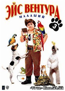 Эйс Вентура младший / Ace Ventura Jr: Pet Detective (2009) DVDRip Онлайн